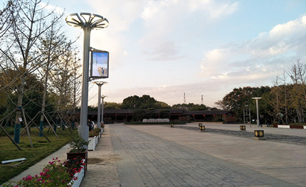 在這綠樹(shù)成蔭的公園里，我是一棵特別的“樹(shù)”